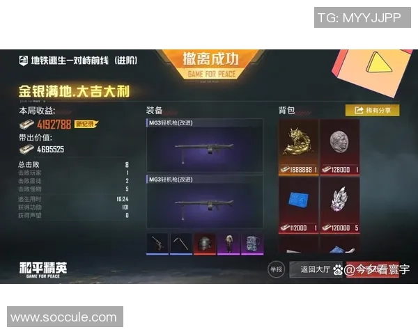 和平精英巨献：深入解析TES战队的极速战术与团队协作技巧